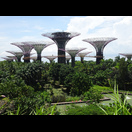 Die Supertrees